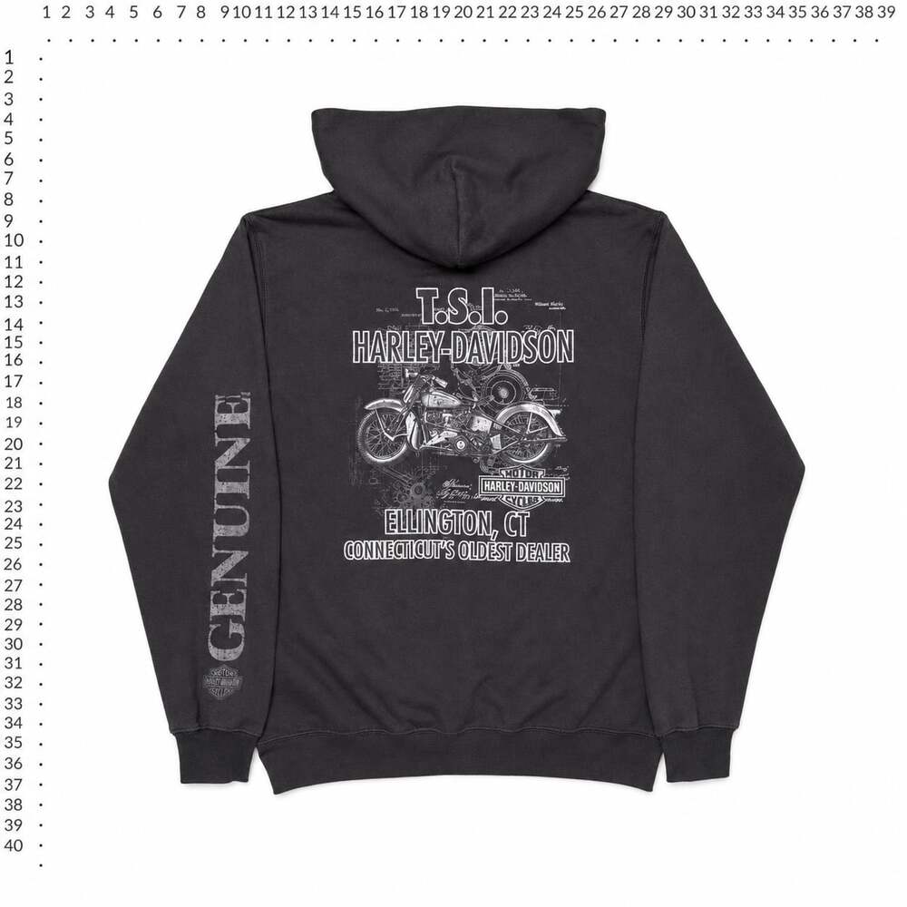 Harley-Davidson T.S.I. Ellington CT Motorcycle Hoodie Size M - Picture 3 of 4